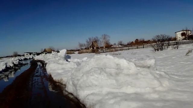 Не так просто вырастить лес на даче смотреть онлайн