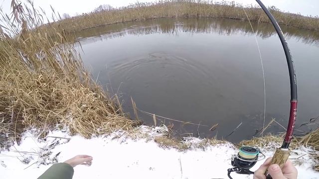 Ловля трофейной щуки. Ловля щуки на спиннинг. Щука зимой. смотреть онлайн