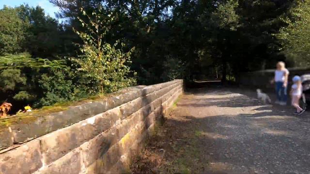 Delamere Forest ParkRun Course | Plan Your Park Run Tourism in Cheshire смотреть онлайн
