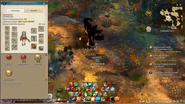 TOS 2017 08 07 11 21 52 070 Botting Sorc-Necro in Highlevel map смотреть онлайн