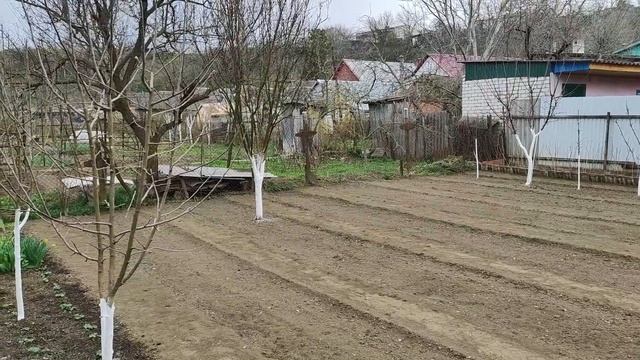 Как облегчить жизнь в огороде? Делаю удобные грядки и дорожки. Мульчирование клубники. Итог работ. смотреть онлайн