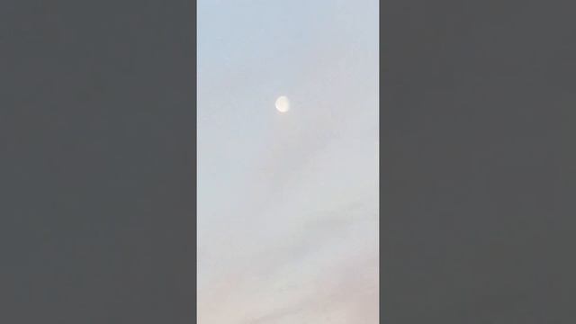ЛУНА ДНЕМ? смотреть онлайн