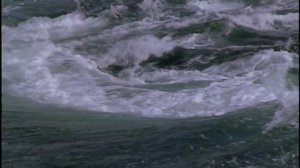 Голубая планета 1 сезон 7 серия «Приливные моря» (документальный сериал, 2001)