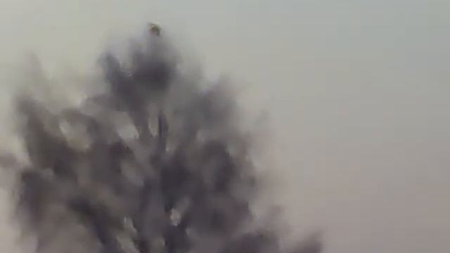 Утренний тетерева на даче смотреть онлайн