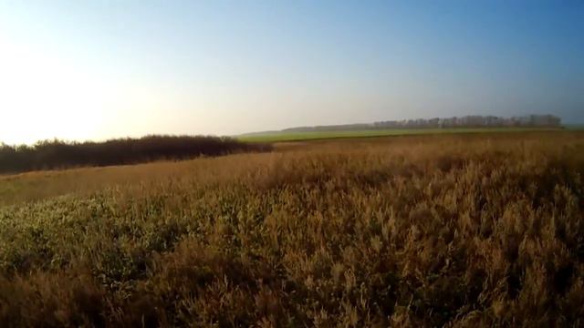 Охота на фазана в Ставропольском крае смотреть онлайн