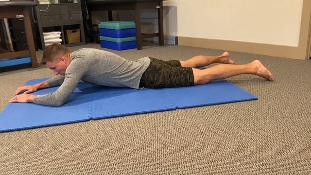 DNS 3-Month Prone (Dynamic Neuromuscular Stabilization) Update смотреть онлайн
