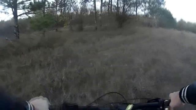 Велопокатушка МТБ, красота леса , вело выезд Часть 2 смотреть онлайн