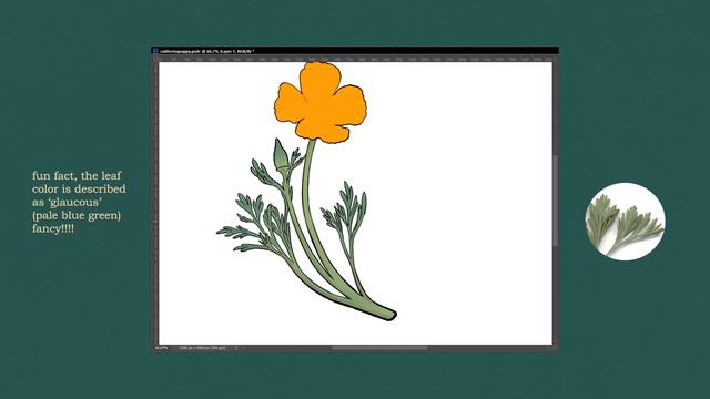 california poppy video game art style speedpaint! смотреть онлайн