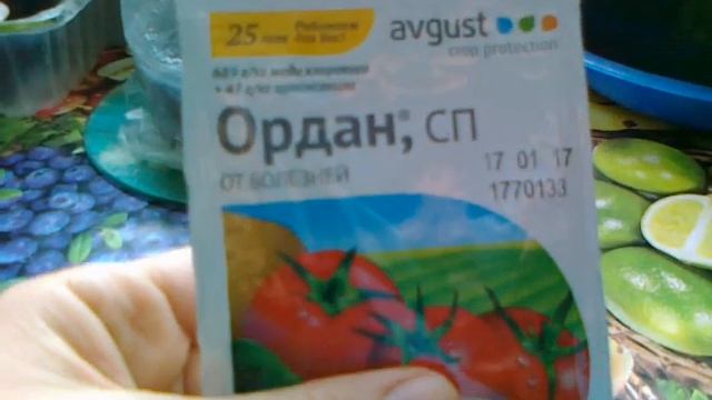 Ордан - защита от фитофторы и не только. Преимущества препарата. смотреть онлайн