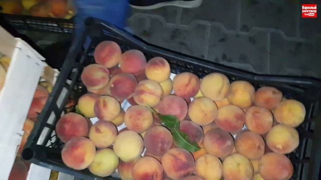 04.09.21 Одесса НОЧНОЙ ОПТОВЫЙ БАЗАР / Обзор цен / Рынок Початок