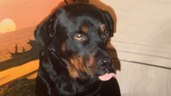 Дементьев В.Н. - Давай поговорим (cover)