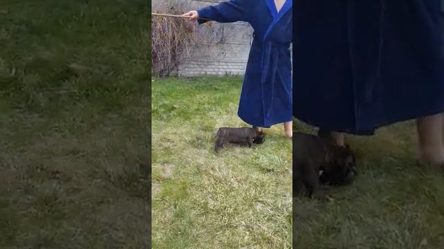 video 3261f62a60f8b569df15a3b9c889e957 V смотреть онлайн