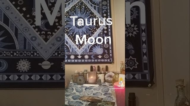 Taurus Mooon ♉️ #anytime #astrology #zodiacsigns #oracle #Taurus #privatereadings #tarotreader смотреть онлайн