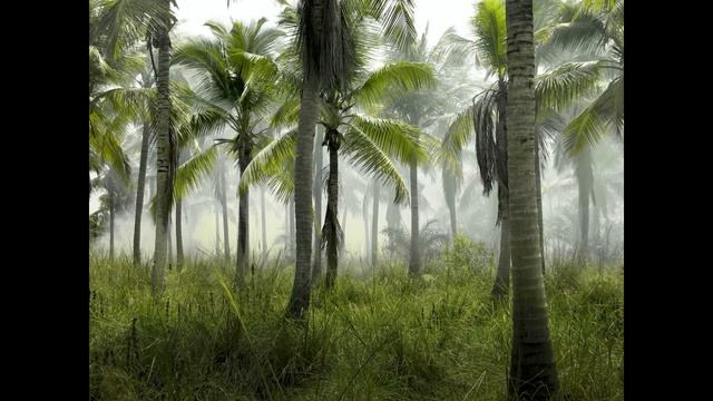 Ангола История смотреть онлайн