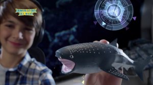 Повелитель морей