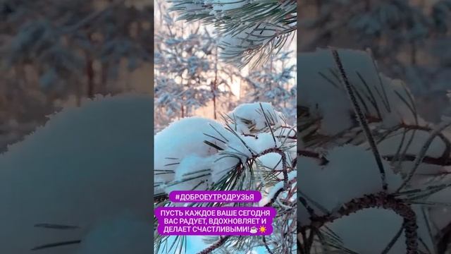 Всем доброе утро смотреть онлайн