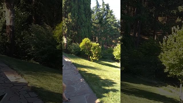 лагистремия индийская сирень :) смотреть онлайн