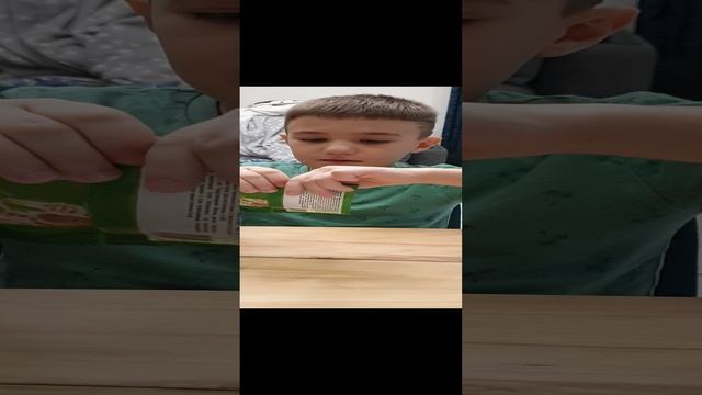 KIDDIE PLAY животные всего мира