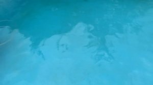 ЛУЧШИЙ РОБОТ ПЫЛЕСОС ДЛЯ БАССЕЙНА  AquaViva 7310