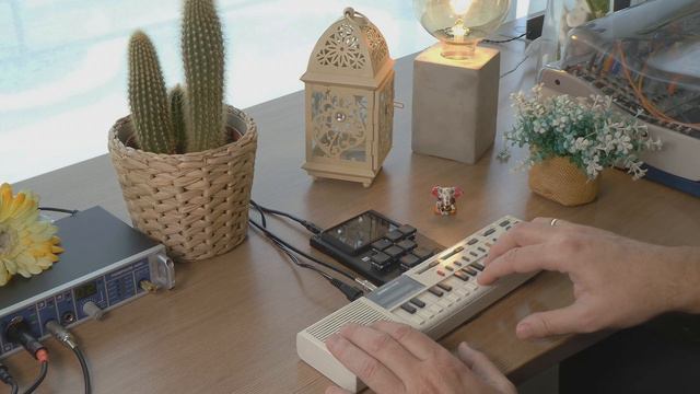 The poor man's OP1 #2 | Casio VL-Tone VL-1 | Dirtywave M8 Tracker смотреть онлайн