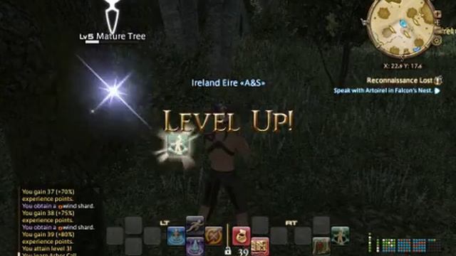 Final Fantasy XIV FFXIV BTN Botanist Ireland Eire Central Shroud Jadeite Thick 30.06.16 смотреть онлайн
