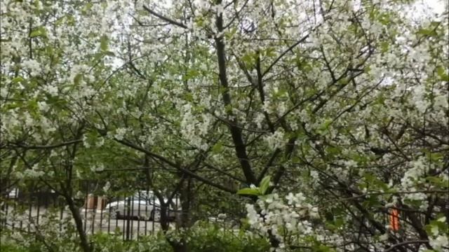 Продажа коттеджа в Бутово, ул. Поляны,39. смотреть онлайн