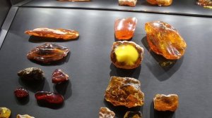 Музей янтаря в Калининграде