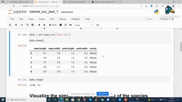 Classification with Support Vector Machine (SVM) | Iris dataset смотреть онлайн