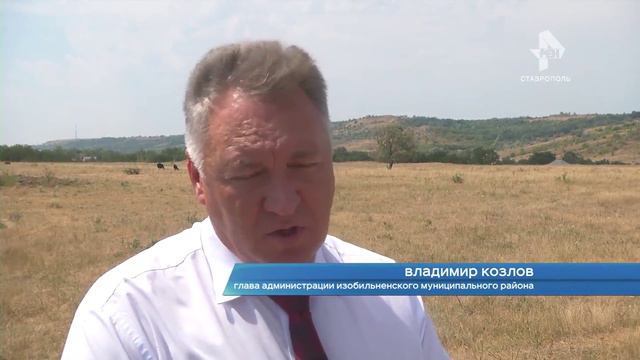 ТЕНЕВЫЕ КОРОВЫ смотреть онлайн