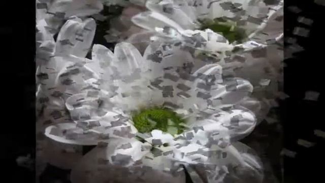 Привет из Сочи от мамы для дочери Оли смотреть онлайн