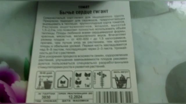 Великан среди томатов - Бычье сердце Гигант смотреть онлайн