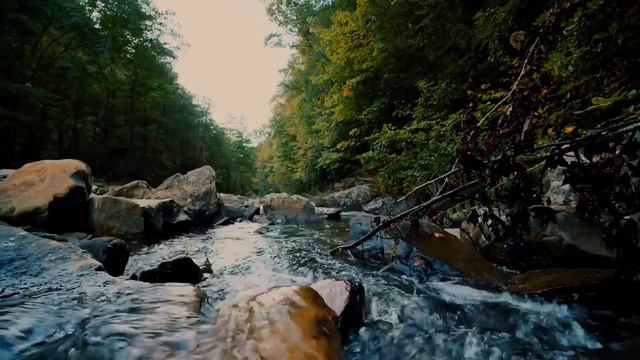 Calming Forest River with Rapids. Relaxing Water Sounds. (10 hours). White noise for sleeping. смотреть онлайн