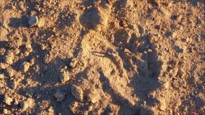 Давайте проверим что теряли люди 100-150 лет назад и посмотрим в каких местах жили!