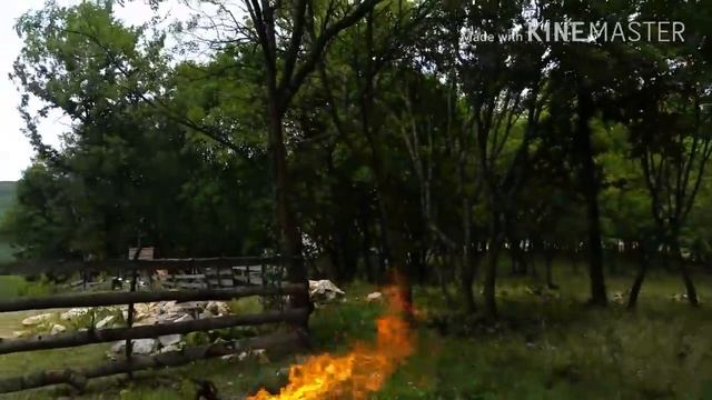 ЖАРИМ БАРАНА??? смотреть онлайн