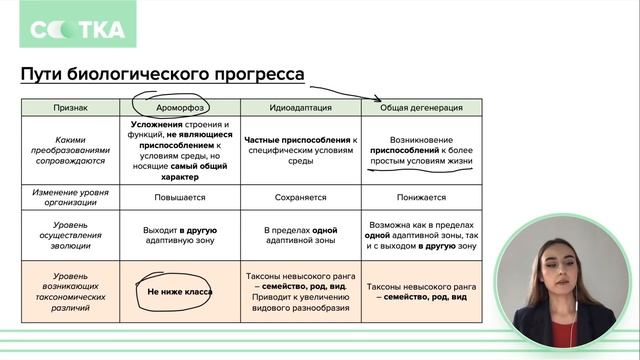 Ароморфоз, идиоадаптация и общая дегенерация. Как отличать? | ЕГЭ БИОЛОГИЯ | Онлайн-школа СОТКА смотреть онлайн