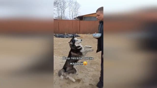 Тик ток приколы 2022 июнь смотреть онлайн