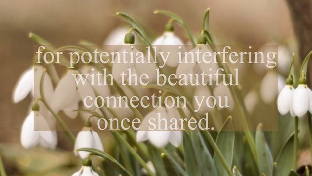 Twin Flame Reading ?DM is panicked | Tarot Reading #tarotreading #twinflame смотреть онлайн