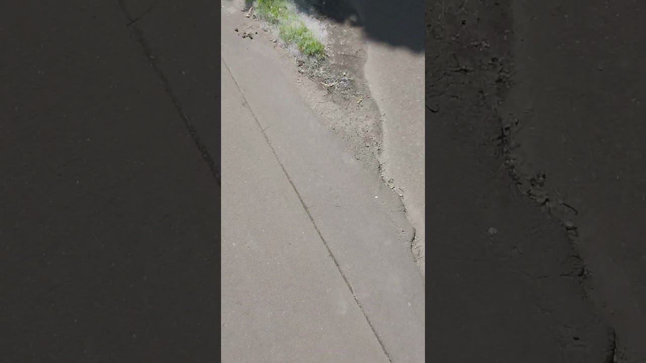 у нас новый снег (пух) смотреть онлайн