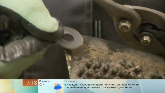 Ванная. Протечки и грибок (Компания 