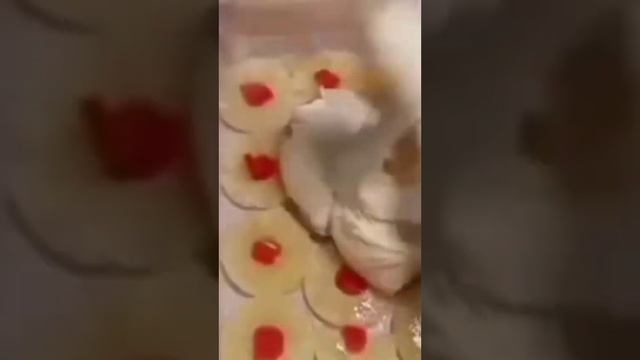 Вегетарианские Блюда и Гастрономия