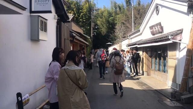 京都嵐山の風景?Kyoto Arashiyama 2023年3月14日(火)