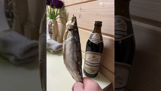 Шортс смотреть онлайн