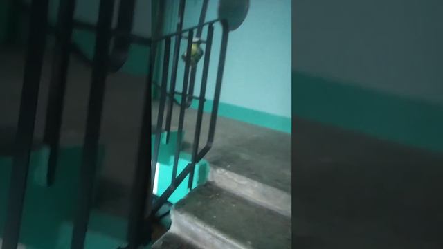 К нам пришла зима🥶 смотреть онлайн