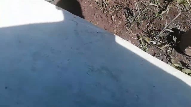 Сербский улей(Сапетка).Необычный улей для нашей местности.