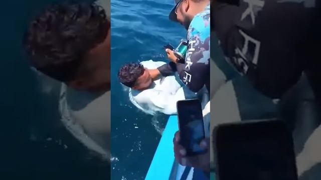 Вот как надо ловить рыбу!))) смотреть онлайн