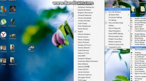 Обзор и настройка программы "Clownfish"