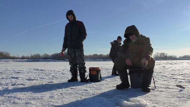 РЕКА ОКА ЗИМНЯЯ РЫБАЛКА! СОБАКА ПОМОГАЕТ ЛОВИТЬ РЫБУ! смотреть онлайн