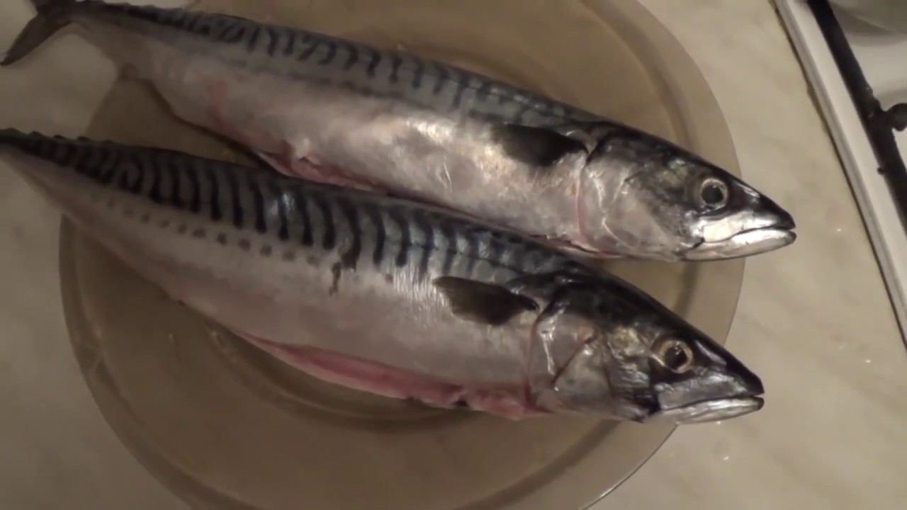 Скумбрия холодного копчения в домашних условиях смотреть онлайн