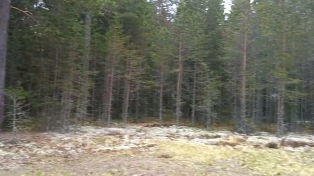 Классическая "рыбалка" в Карелии (качество видео отвратительное) смотреть онлайн