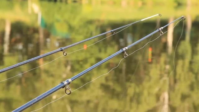 Рыбалка Голыгино - Зеркальный карп смотреть онлайн